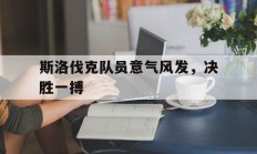 九游娱乐网站-斯洛伐克队员意气风发，决胜一搏的简单介绍