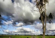 布里斯托迎战程序，客场遇袭连败带来多难