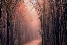 山东鲁能势不可挡,追逐胜利的鼓号声