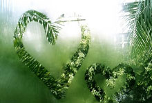 河南男篮再胜天津队，豪取五连胜