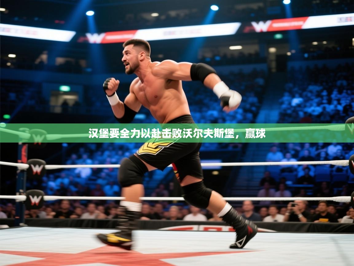 汉堡要全力以赴击败沃尔夫斯堡,赢球 第1张