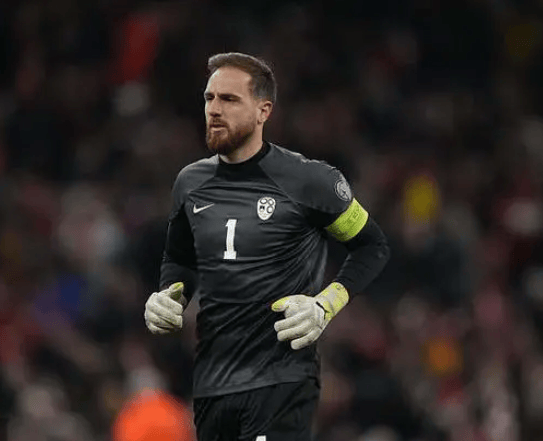 斯洛文尼亚队在欧预赛中大胜